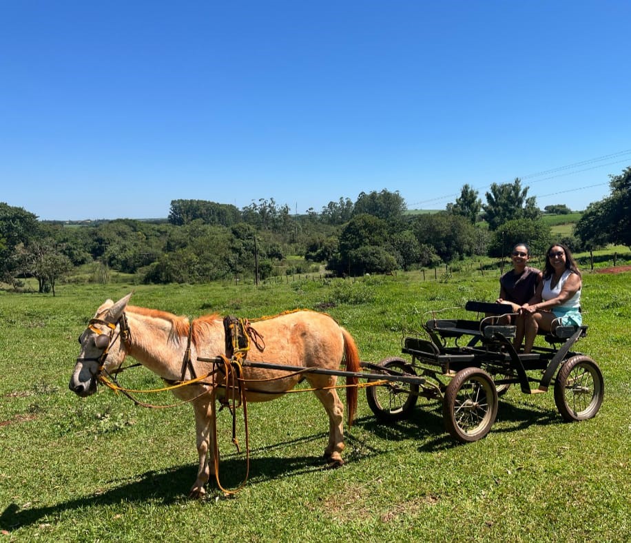 fazenda4