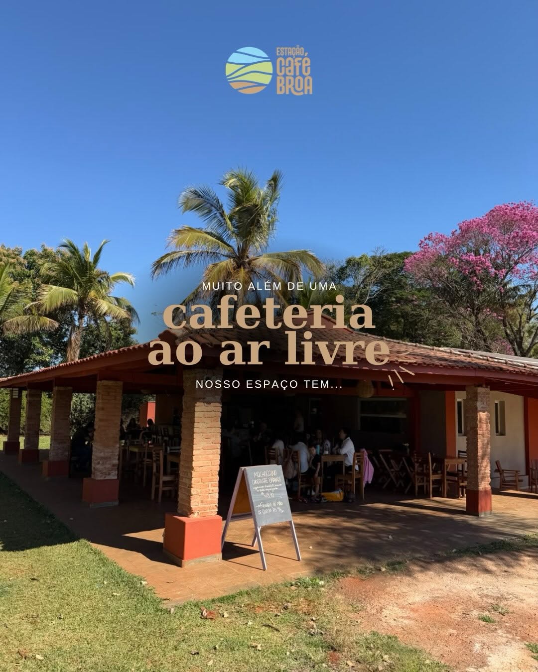 café broa 1